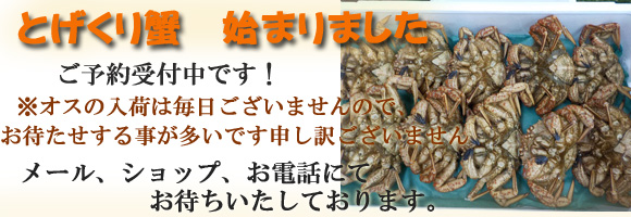 �Ƃ�����I